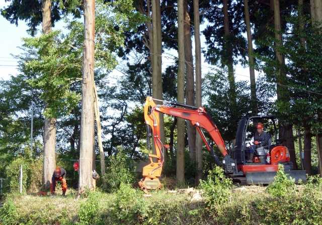 重機での木の伐採